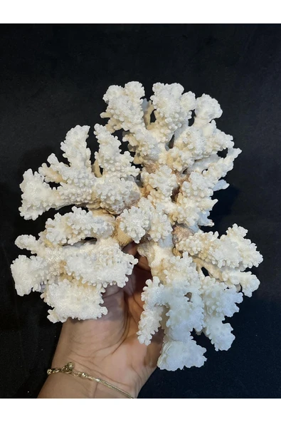 gemsartdeco MERCAN - Resim 3