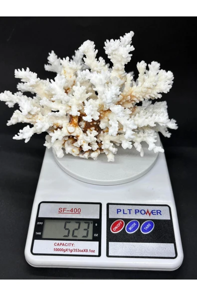 gemsartdeco MERCAN - Resim 5