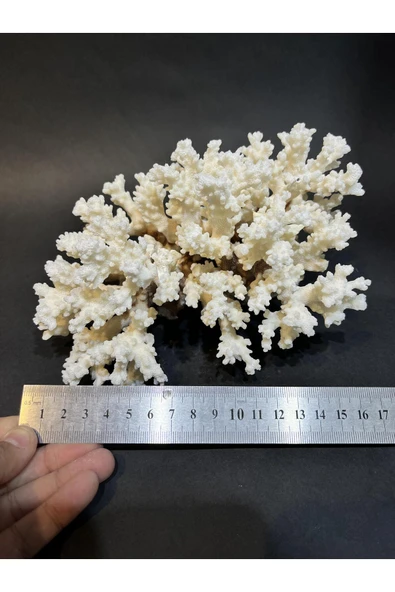 gemsartdeco MERCAN - Resim 4