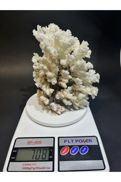 gemsartdeco MERCAN - Resim 6