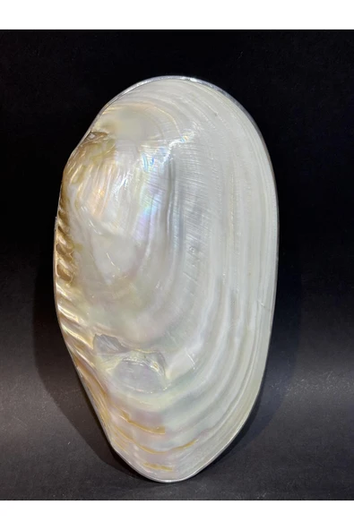 gemsartdeco KABUK XXL GÜMÜŞ ÇERÇEVELİ ürün görseli