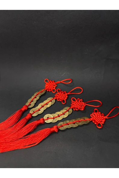 gemsartdeco Şans ve Fengshui Para Mıknatısı - Resim 5