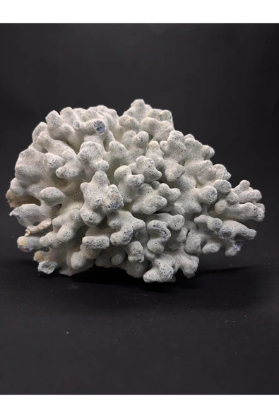 gemsartdeco MAVİ MERCAN - Resim 5