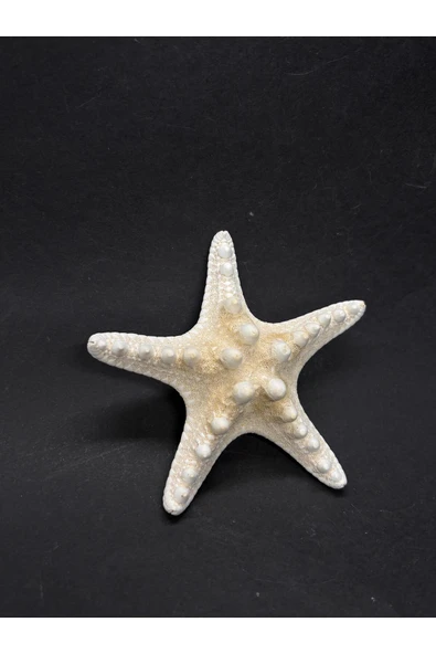 gemsartdeco BEYAZ DENİZ YILDIZI KÜÇÜK BOY ürün görseli