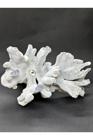 gemsartdeco MAVİ MERCAN - Resim 5