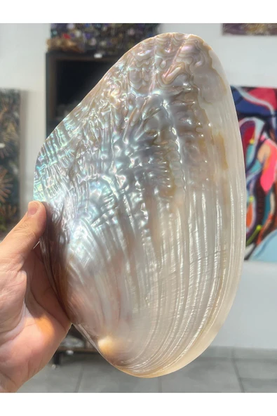 gemsartdeco Sedef Kabuk Filipinler ürün görseli