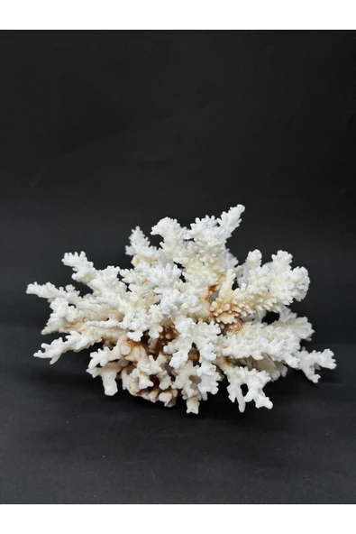 gemsartdeco MERCAN - Resim 2