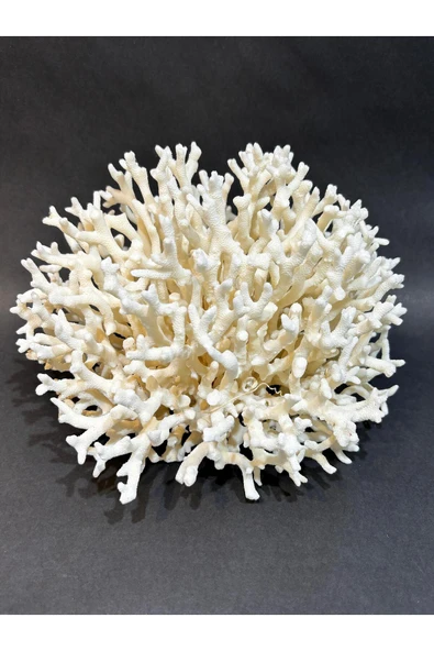 gemsartdeco İNCE DAL MERCAN - Resim 2