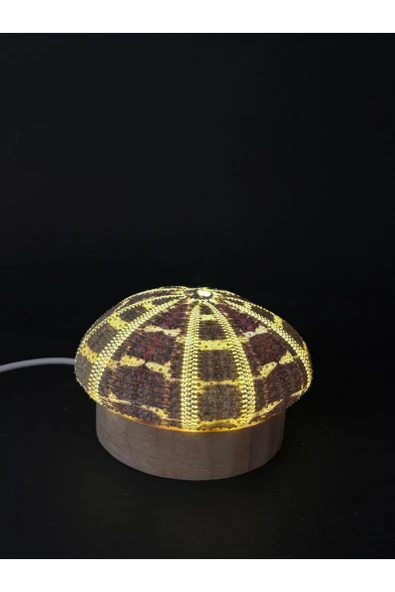 gemsartdeco DENİZ KESTANESİ GECE LAMBASI - Resim 2