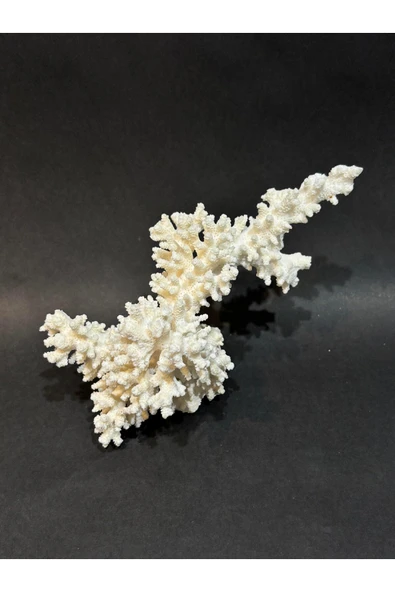 gemsartdeco DAL MERCAN - Resim 2