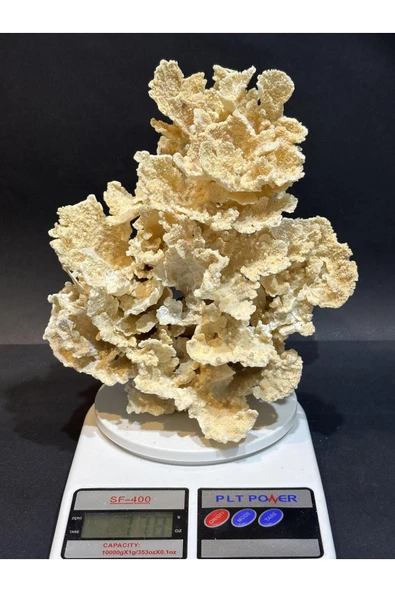 gemsartdeco MERCAN KOLEKSİYON DOĞALTAŞ - Resim 4