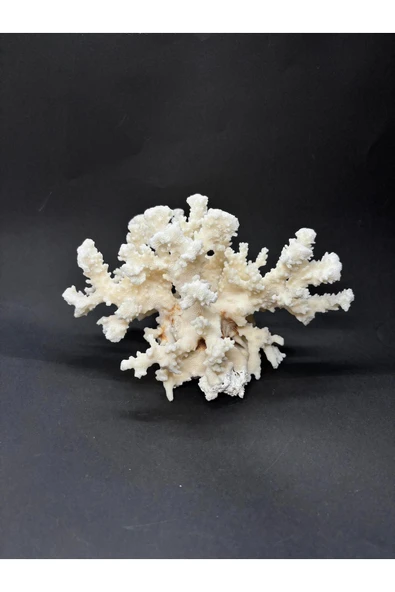 gemsartdeco MERCAN - Resim 4