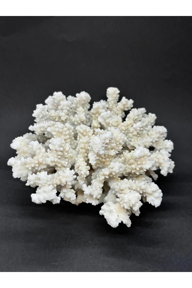 gemsartdeco MERCAN - Resim 2