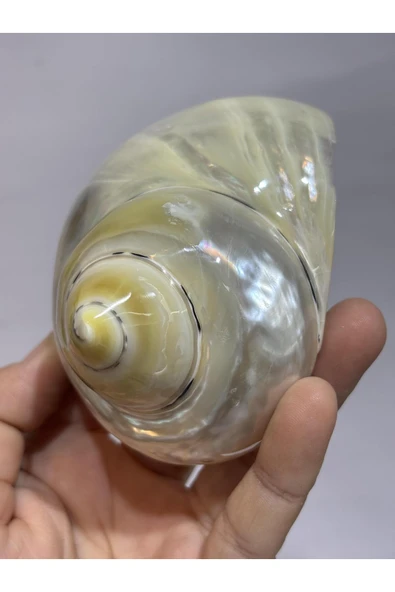 gemsartdeco TURBO BURGES SEDEFLİ - Resim 7