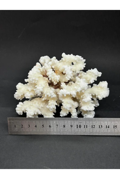 gemsartdeco MERCAN - Resim 4