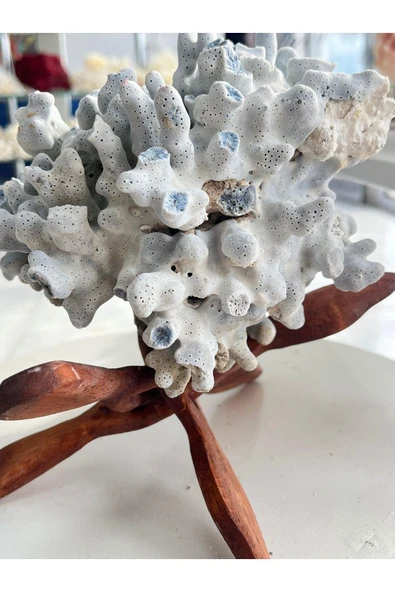 gemsartdeco Mavi Mercan ürün görseli 1