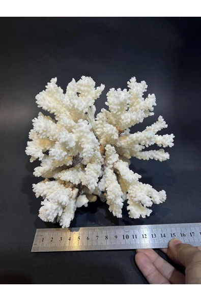 gemsartdeco MERCAN - Resim 3