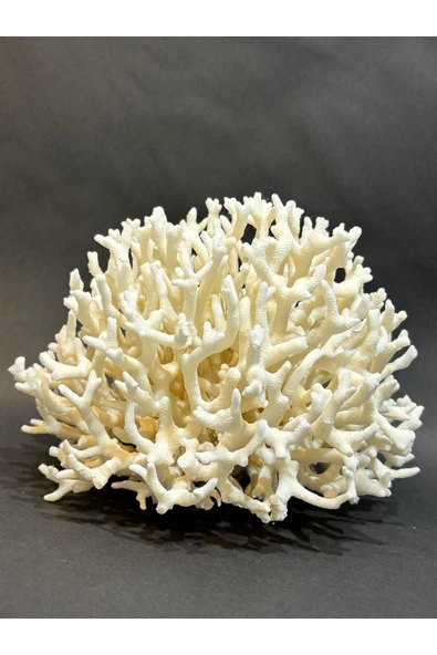 gemsartdeco İNCE DAL MERCAN ürün görseli