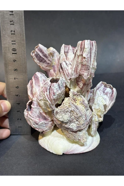 gemsartdeco Lale Mercan Özel Stantlı - Resim 7