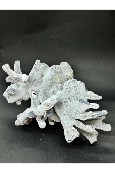 gemsartdeco MAVİ MERCAN - Resim 8