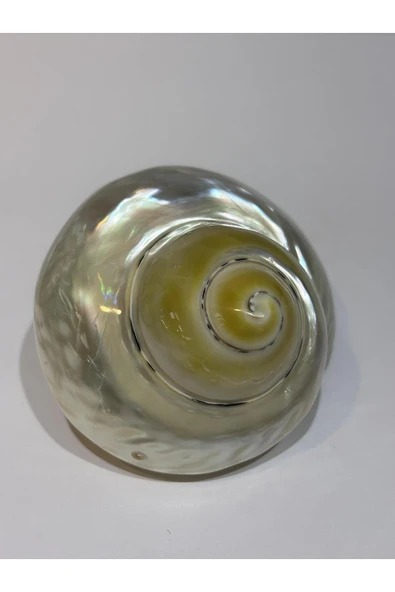 gemsartdeco TURBO BURGES SEDEFLİ - Resim 4