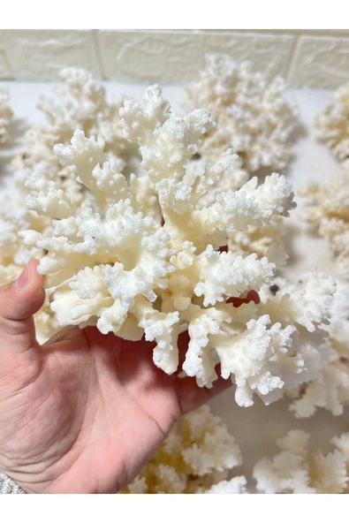 gemsartdeco Mercan Doğaltaş Boy 6 - Resim 2