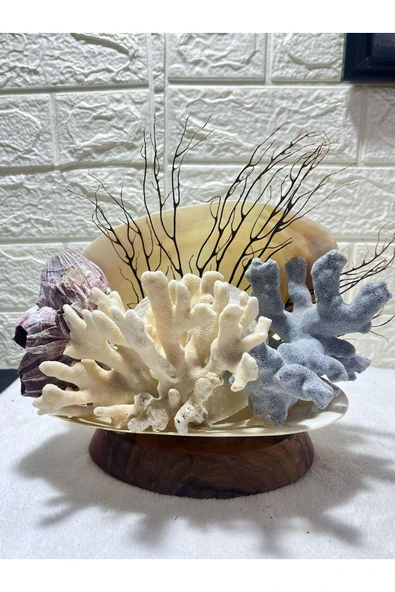 gemsartdeco Gerçek Mercan ve Kabuk Obje - Resim 3