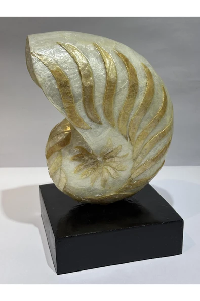 gemsartdeco NATİLUS KOLEKSİYON KABUK STANTLI - Resim 4