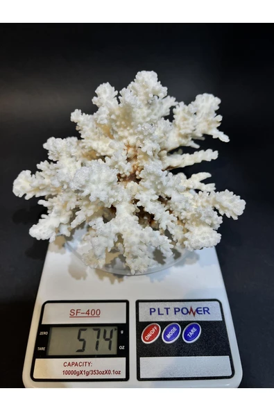 gemsartdeco MERCAN - Resim 6