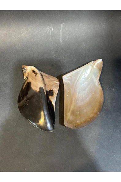 gemsartdeco Brown Lip Kabuk - Resim 5