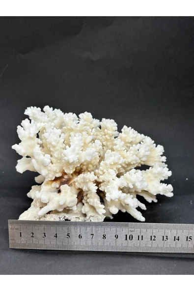 gemsartdeco MERCAN - Resim 5