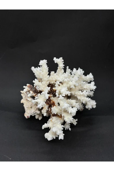 gemsartdeco MERCAN - Resim 3