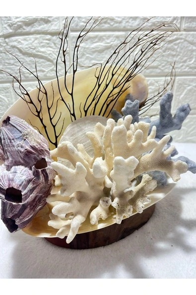 gemsartdeco Gerçek Mercan ve Kabuk Obje ürün görseli