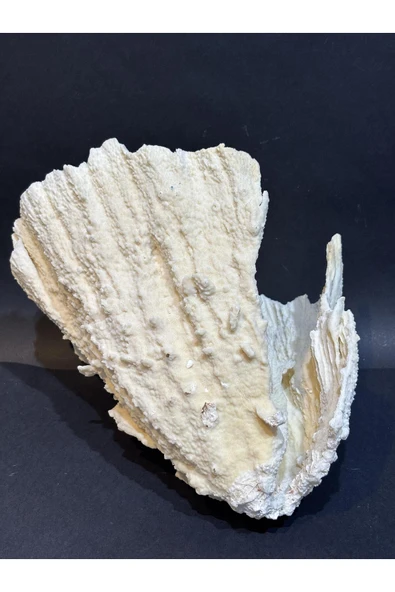 gemsartdeco MERCAN KOLEKSİYON DOĞALTAŞ - Resim 7