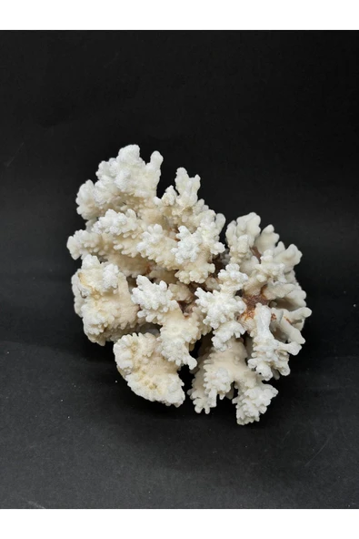 gemsartdeco MERCAN - Resim 3