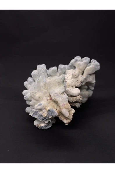 gemsartdeco MAVİ MERCAN - Resim 5