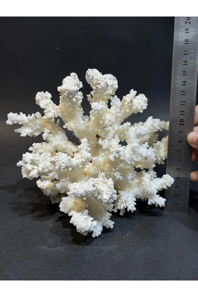 gemsartdeco MERCAN - Resim 5