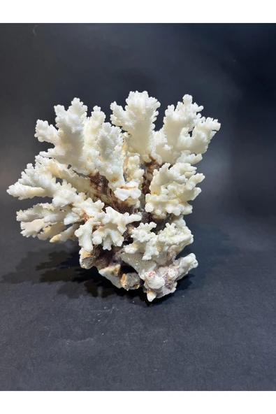 gemsartdeco MERCAN - Resim 5