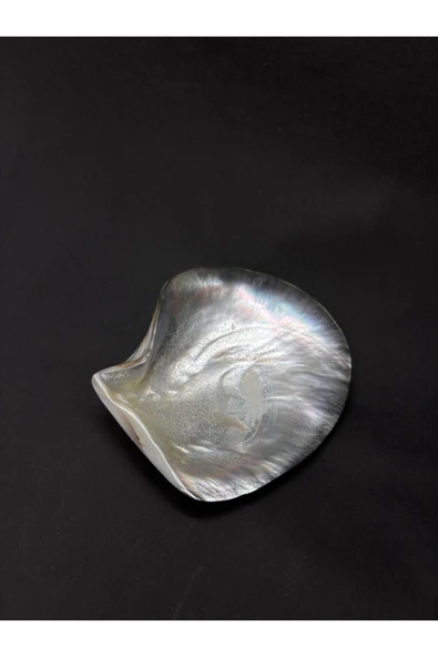 gemsartdeco BLACK LİP KABUK - Resim 6