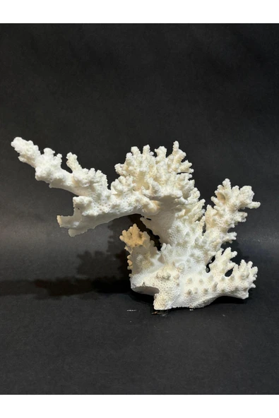 gemsartdeco DAL MERCAN - Resim 3