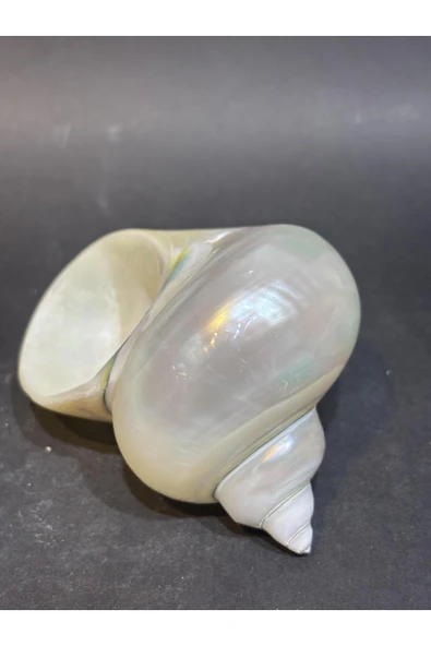 gemsartdeco Turbo Burges Kabuk - Resim 3