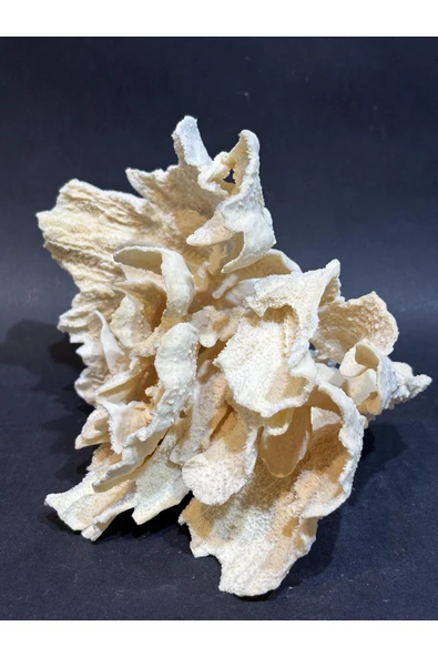 gemsartdeco MERCAN KOLEKSİYON DOĞALTAŞ - Resim 3