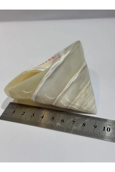 gemsartdeco TROCA KABUK - Resim 3