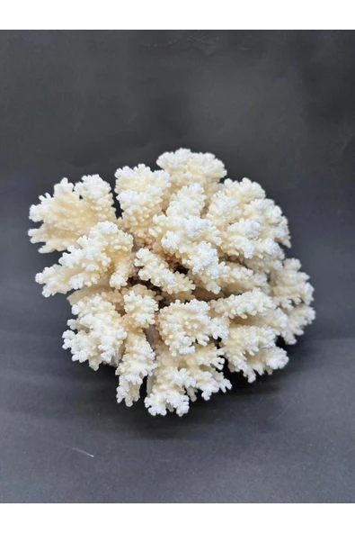 gemsartdeco MERCAN - Resim 2