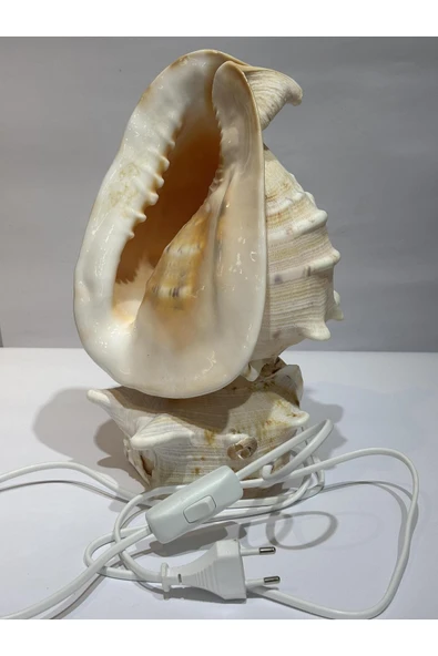 gemsartdeco CASIS DEV BOY LAMBA PRİZLİ - Resim 2