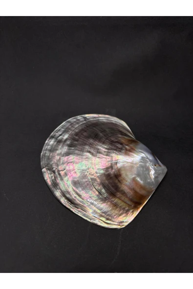 gemsartdeco BLACK LİP KABUK - Resim 4