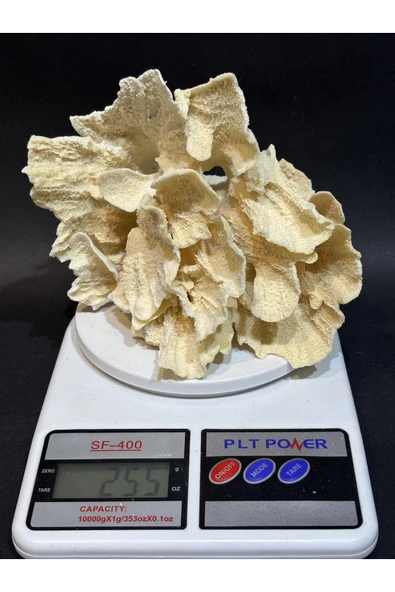 gemsartdeco MERCAN KOLEKSİYON DOĞALTAŞ - Resim 2