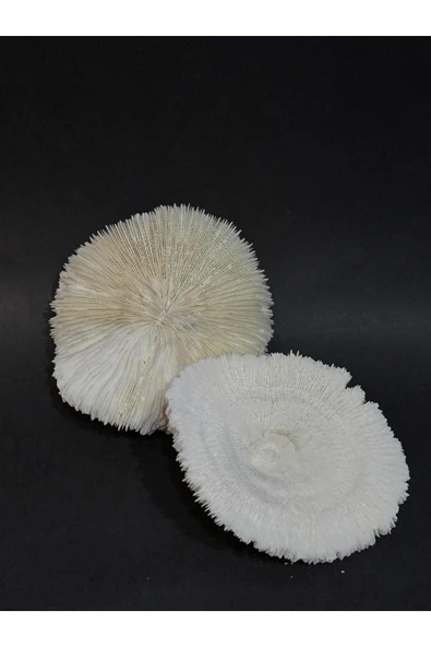 gemsartdeco MANTAR MERCAN ürün görseli