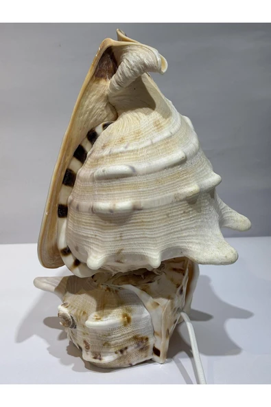 gemsartdeco CASIS DEV BOY LAMBA PRİZLİ - Resim 5