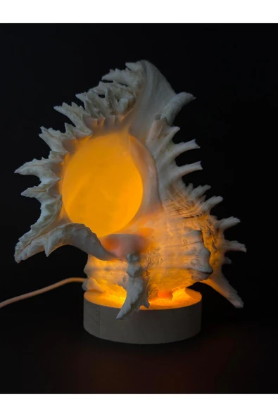 gemsartdeco MUREX KABUK GECE LAMBASI - Resim 4